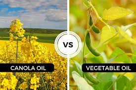 Canola Oil Vs Vegetable Oil Which One Should I Use