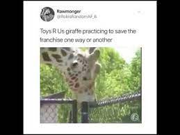 Toys R Us Giraffe Trying To Save The Company Youtube