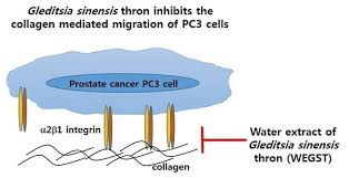 A moving car has kinetic energy. Ijms March 2016 Browse Articles