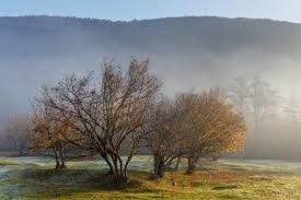 Організатори сімейного заходу гарантували отримання захоплюючих пригод, яскравих емоцій, святкового. Yake Svyato 23 Lipnya 2021 Pam Yatni Dati V Istoriyi Unian