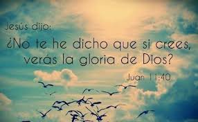 Jesus Dijo No Te Eh Dicho Que Si Crees Veras La Gloria De Dios Juan 11 40 Mensaje De Dios Palabra De Vida Juan 11 40
