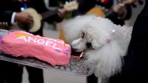 Michael David Chesworth