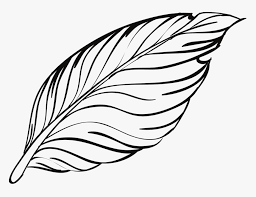 Peacock Feather Outline Png Transparent Png Transparent Png Image Pngitem Original file at image/gif format. peacock feather outline png