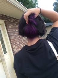 Purple Underneath Black Brown Hidden Hair Color Underlights Hair Underdye Hair