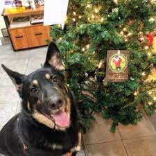 Call for appointment now · top quality pet care · locations near you Best Emergency Pet Hospital Near Me July 2021 Find Nearby Emergency Pet Hospital Reviews Yelp
