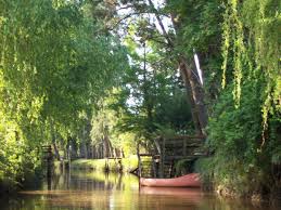 Pin En Tigre Argentina