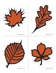 Hands On Activity Showing How Leaves Change Colors In The Fall Color Activities Leaves Changing Color Fall Crafts For Kids