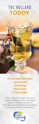 Unwind With The Soothing Holland Toddy Taking A Van Gogh Vodka Spin On The Hot Toddy This Simple Cocktail Use Vodka Winter Cocktails Recipes Winter Cocktails