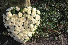 1000 heart shaped flower arrangement free vectors on ai, svg, eps or cdr. Heart Shaped Sympathy Flower Arrangement With White Roses Near Stock Photo Picture And Royalty Free Image Image 12072870