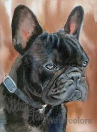 Black And Brown Brindle French Bulldog Pin On Doggos