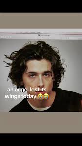 Timothy Chamlet Dreads