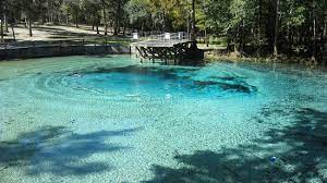We spent the weekend at florida's newest state parks, ruby b. Large Blue Spring Boil At Gilchrist Blue Springs State Park Bild Von Grady House Bed And Breakfast High Springs Tripadvisor