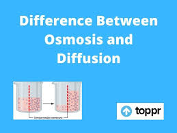 Jul 29, 2019 · diffusion is the movement of a fluid from an area of higher concentration to an area of lower concentration. Difference Between Osmosis And Diffusion In Tabular Form