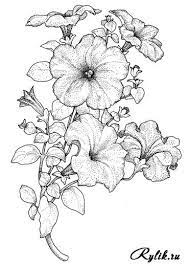 Pin By 𝖣𝗋𝗂𝗇𝗂 & 𝖣𝗋𝖾𝗇𝗂 On How To Draw ✏️ | Petunia Tattoo, Flower  Sketches, Flower Drawing