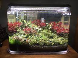 I used plastic milk bottles cut into long strips as dividers to keep the slope. 3 Gallon Shrimp Pico Fluval Stratum Diy Co2 Injected Into Aquaclear Intake Two 12 Inch Finnex Planted Lights Plantedtank
