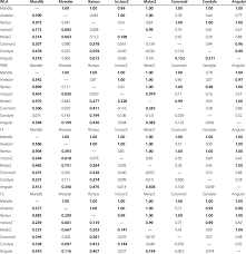 Poshmark makes shopping fun, affordable & easy! Mantel Correlations Among Partitions And Modules Of The Mandible Download Table