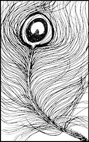 In this video we draw a spotted furball. Peacock Feather Sketch In Ink Drawing By C Fanous