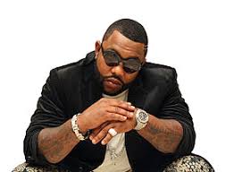 Image result for Gorilla Zoe