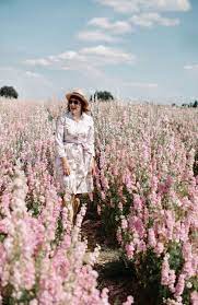 Wearing A Pretty Midi Dress From Cath Kidston In The Delphinium Flower Field In The Cotswolds Delphinium Flowers Flower Field Cotswolds