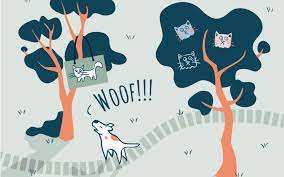 Deutsche Sprichwörter auf Englisch korrekt übersetzen - phase6 Magazin