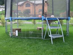 Afbeeldingsresultaat Voor Kaninchenstall Selbst Bauen Bunny Cages Pet Bunny Rabbit Hutches