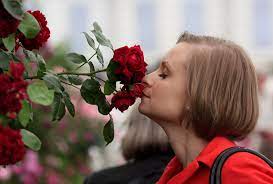 Smell the Roses | The Week in Pictures | POPSUGAR Love & Sex Photo 8