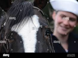 Ormsbee hi-res stock photography and images