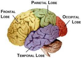 What Causes Cotard S Syndrome All About Cotard S Syndrome