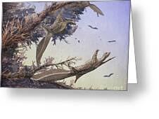 Image result for Hypuronector