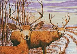 With over 200 designs, you'll find something here that is perfect for your next cross stitch project. Mule Deer In A Cornfield Cross Stitch Pattern By Tereena Clarke Crosstitch Com
