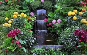 187 likes · 186 talking about this. Grow Your Dream Garden With Dr Lahey S Garden Landscaping Altermonde Levillage Com