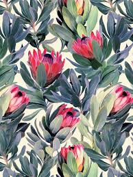 Painted Protea Pattern Photographic Print By Micklyn Flower Background Wallpaper Floral Wallpaper Prints