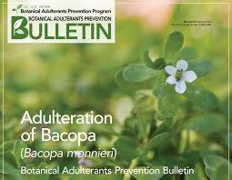 Image result for Bacopa monnieri