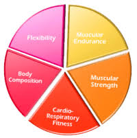 Fitness is your body's ability to function properly during activity and leisure times, being able to protect the body from diseases caused due to leading a. The 5 Components Of Fitness General Health Quiz Quizizz