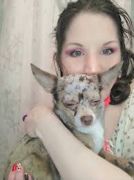 This is bella noel my 9 year old chi❤️ i love her unconditionally