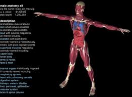 Groups of organs that work together to produce and sustain life. Kidney 3d Model 120 Max Free3d