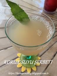 Berna Nin Mutfak Guncesi Koruk Suyu Serbeti 2020 Su Mutfak Icecek Tarifleri