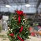 Boxwood Tree Workshop event image