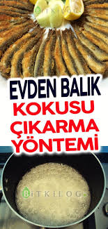 Evdeki Balik Kokusu Gidermenin Kolay Yolu Crockpot Fish Recipes Recipes Healthy Chicken Recipes
