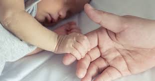 We did not find results for: Baby Fell Off Bed What To Do