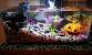 Do It Yourself Christmas Aquarium Decorations