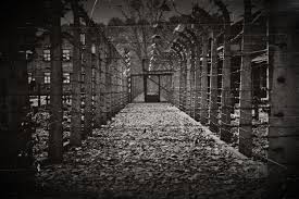 Αποτέλεσμα εικόνας για φωτο αουσβιτσ