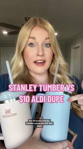 Aldi Stanley Cup Bag