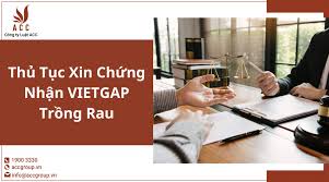 Thủ Tục Xin Chứng Nhận VIETGAP Trồng Rau (Thủ Tục 2024)