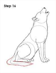 So, if you've already mastered how to draw a dog, why not venture into the forests and learn how to draw its majestic ancestor, the wolf? How To Draw A Wolf Dr Odd Wolf Drawing Easy Wolf Sketch Wolf Howling Drawing