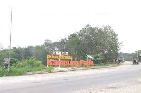 Maybe you would like to learn more about one of these? Yuk Ke Kampung Patin Di Kampar Berwisata Sambil Melihat Proses Produksi Ikan Salai Halaman All Kompas Com