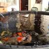 That means that if your pond is 1200 gallons your pump should supply a flow rate of 1200 gph at the head height of the outlet. 1