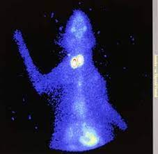 Cat Radioactive Iodine Treatment In Gilbert Az I Arizona Veterinary Oncology