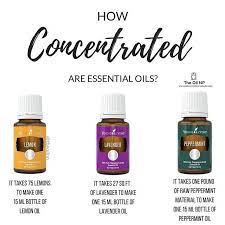 Young living corporate pays 100% of the administrative costs for the d. Fun Fact Young Living Essential Oil Essential Oil By Za Facebook