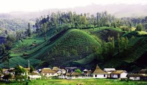 Komitmen desa dermaji dalam memanfaatkan teknologi informasi untuk pembangunan menjadikan desa di kabupaten banyumas ini meraih predikat desa unggulan pilihan tempo 2016. 10 Ide Program Inovasi Desa Yang Bisa Dilakukan Tahun 2021 Folder Bisnis